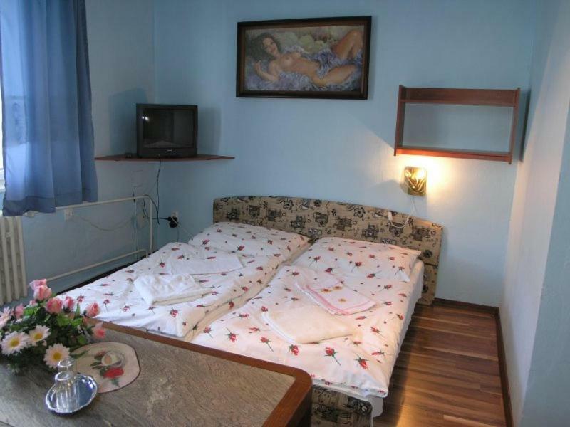 Biela Labut Hotel Michalovce Exterior photo