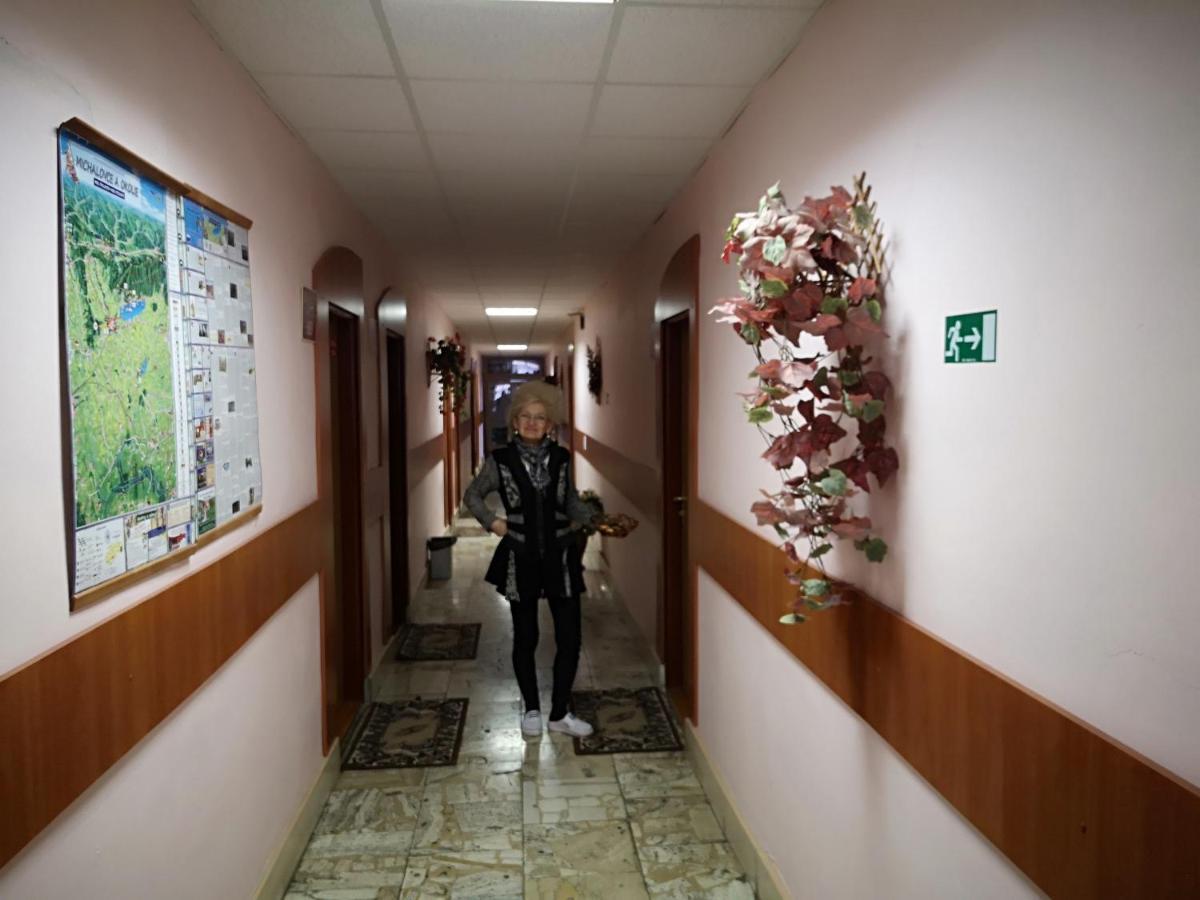 Biela Labut Hotel Michalovce Exterior photo